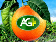 AgPlus Network - Information portal of the agricultural markets of the USA