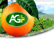 The AgPlus Network v2 - Informational portal of USA agriclutural market. Redesign & improvement