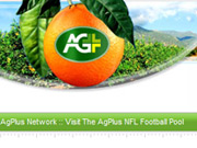 AgPlusFP.net - Web-site supporting The AgPlus Network NFL Football Poll